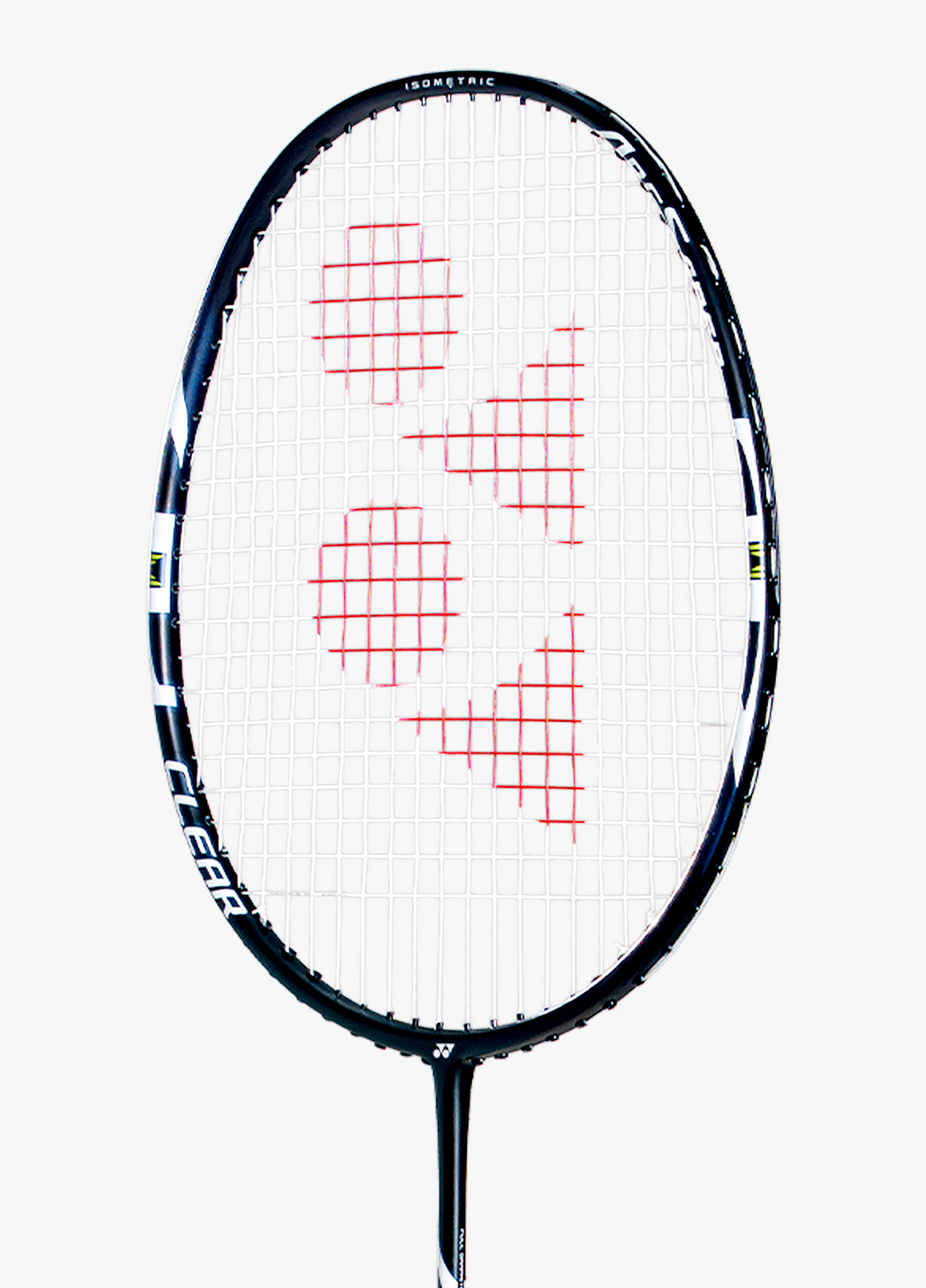 BLACK/BLUE