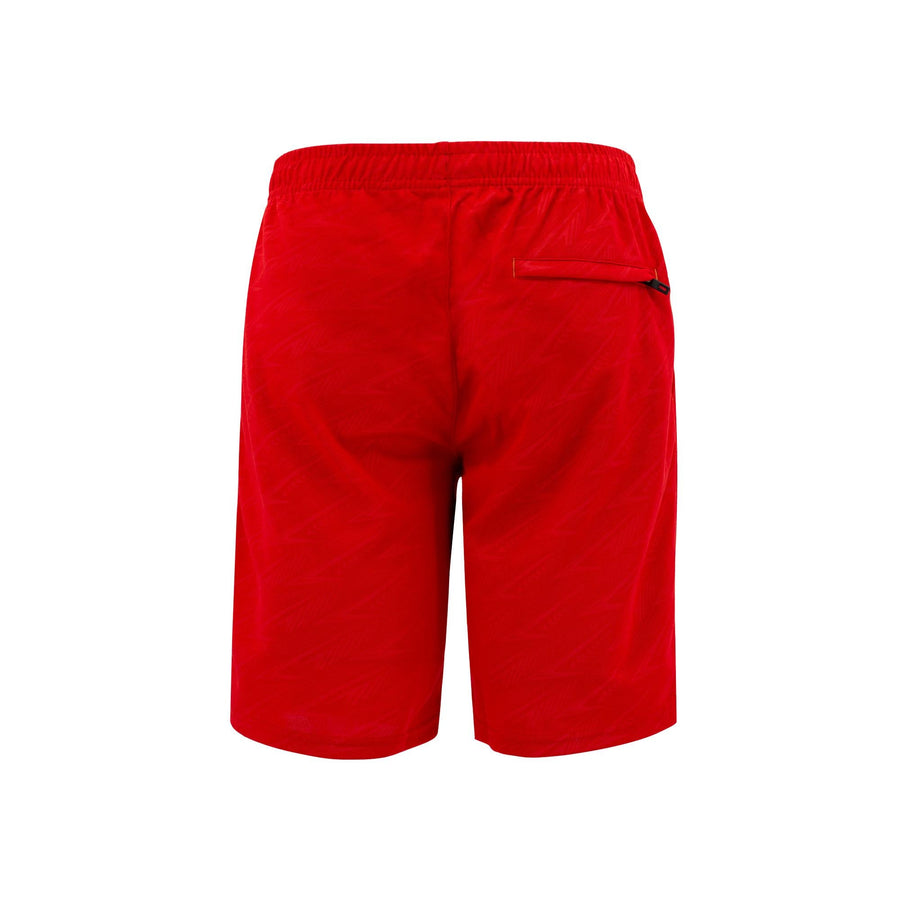 HIGH RISK RED