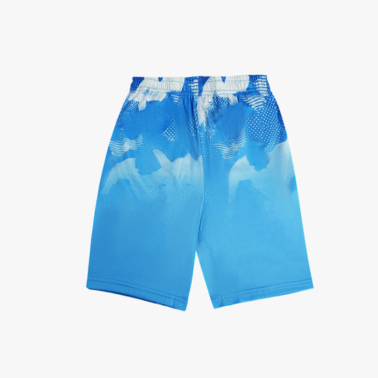 HERITAGE BLUE