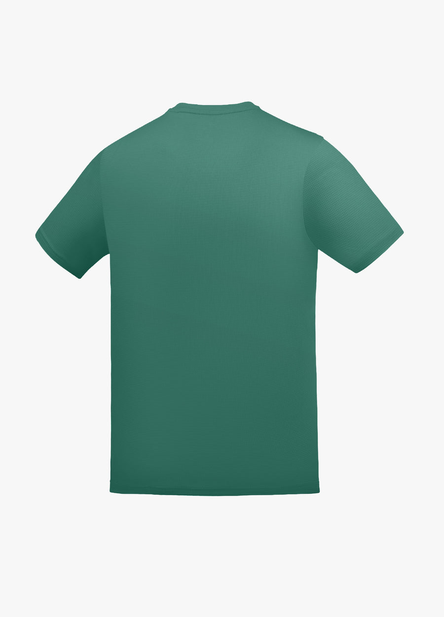 WINTER GREEN